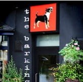 The Barking Dog