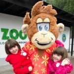 Zoo in Belfast Zoo in Belfast